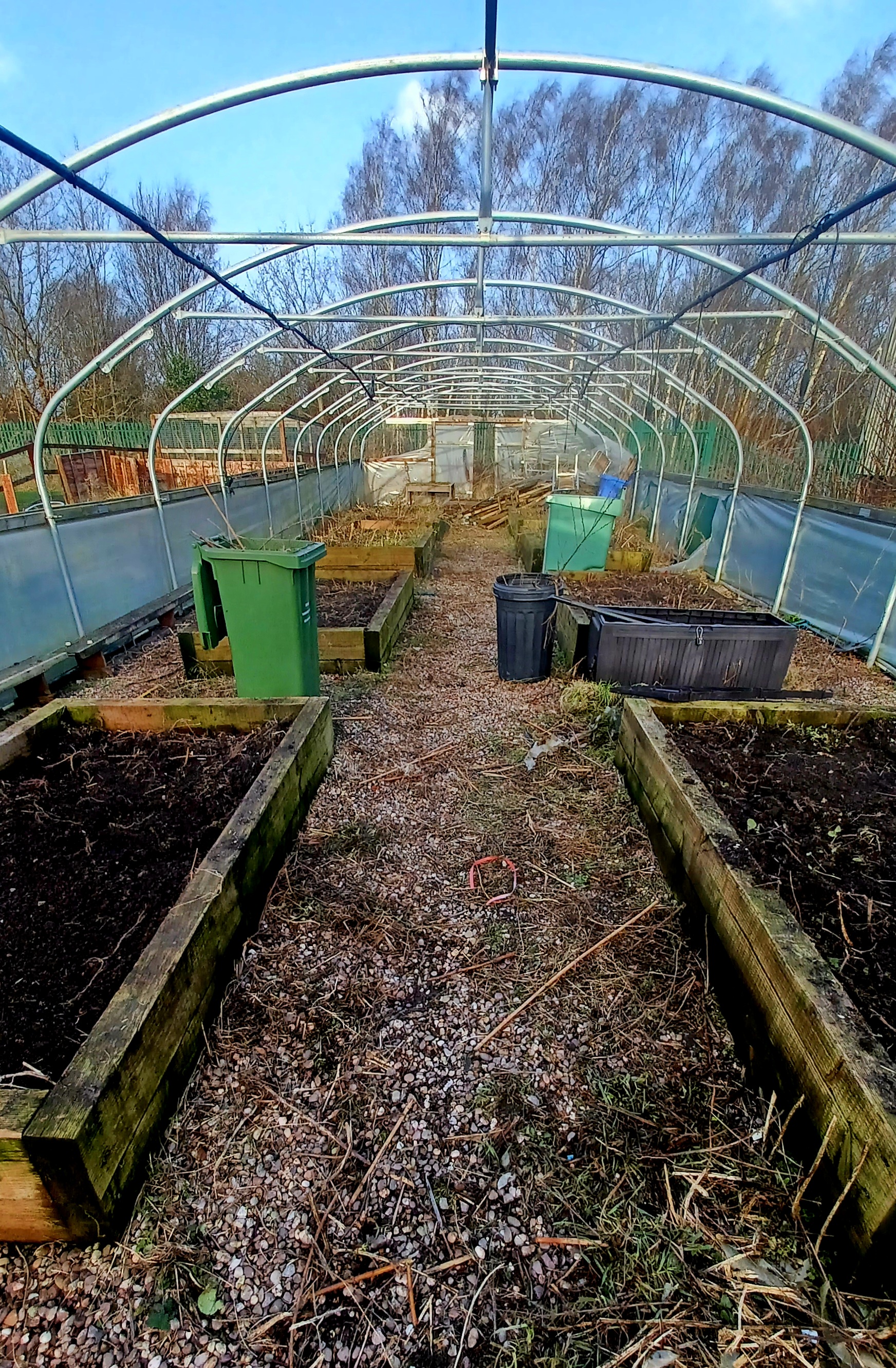 the polytunnel, clear of debris